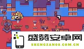 如何在浮岛冒险博物馆中获取各类珍稀物品和道具的详细指南