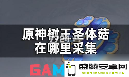 原神树王菇购买攻略详解 原神树王圣体菇的获取与购买地点分享