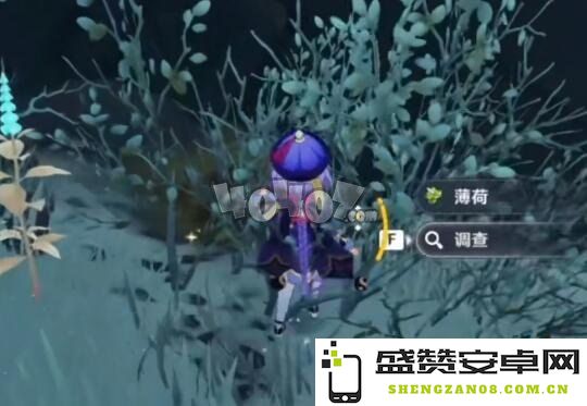 原神雪山为何无法给狐狸投喂食物 原神雪山狐狸投喂问题探讨