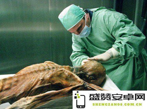 木乃伊是什么 木乃伊是什么