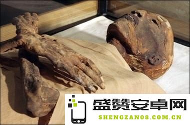 木乃伊是什么 木乃伊是什么