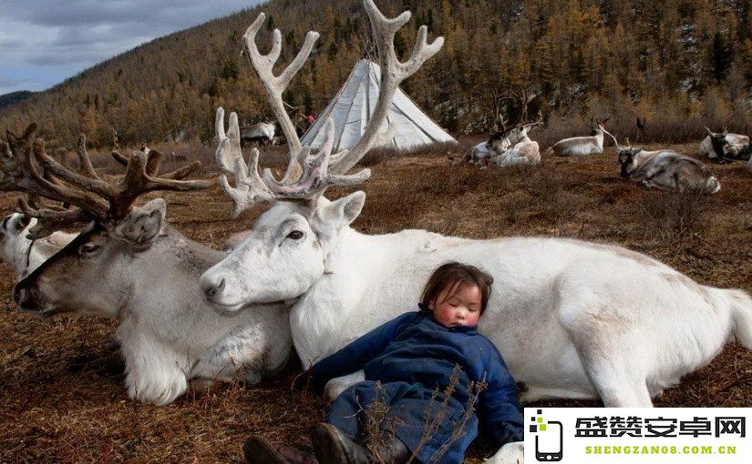 探寻原神蒙德特产动物的奥秘：了解蒙德地区独特动物种类与生态