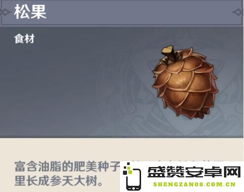 原神松果购买处 原神松果购买处详解