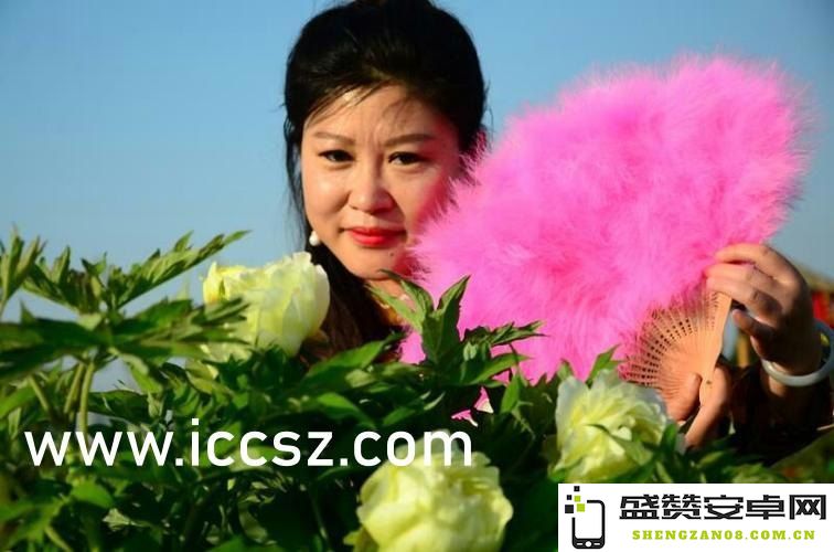 原神女角色脸红 &lt;h1&gt;原神女角色脸红：游戏中的情感表达与角色魅力&lt;/h1&gt;
