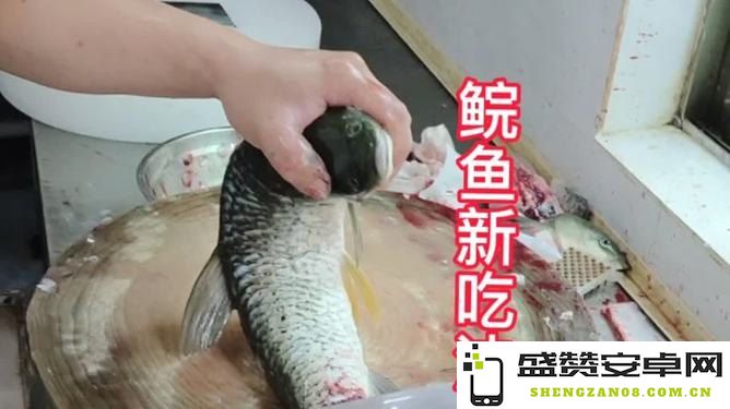 原神怎么把鱼拉上来 原神如何把鱼拉上来