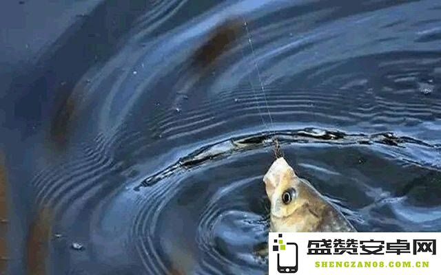 原神钓鱼技巧揭秘：如何有效地将鱼拉上来并提高钓鱼成功率