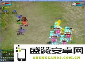 探索大话西游九尾狐的全面技能解析与应用示例