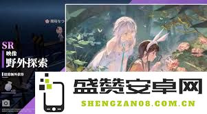 如何获取和使用开放空间SSR的详细指南与实用技巧