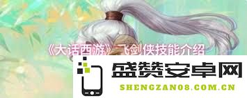 大话西游飞剑侠职业技能全面解析及实用技巧分享