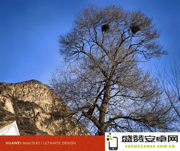 用华为Mate70红枫影像拍新年：中年将至 方感年之残酷