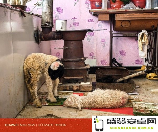 用华为Mate70红枫影像拍新年：中年将至 方感年之残酷