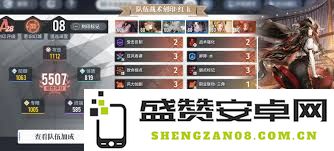 白荆回廊红玉在团队中的最佳搭配策略与解析