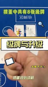 多乐新版本基础规则详尽解析与调整说明，帮助玩家更好地理解游戏机制